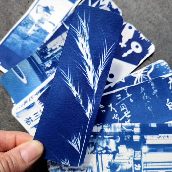 cyanotype