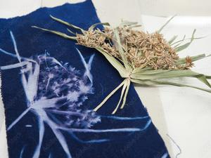 CyanotypeAdobeStock_1