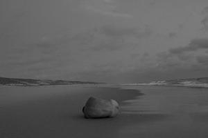 manscapes