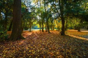 philo-nature